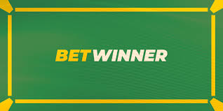 كل ما تحتاج معرفته عن betwinner casino 1