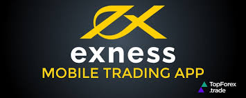 Maximize Your Trading Potential with Exness Forex Broker